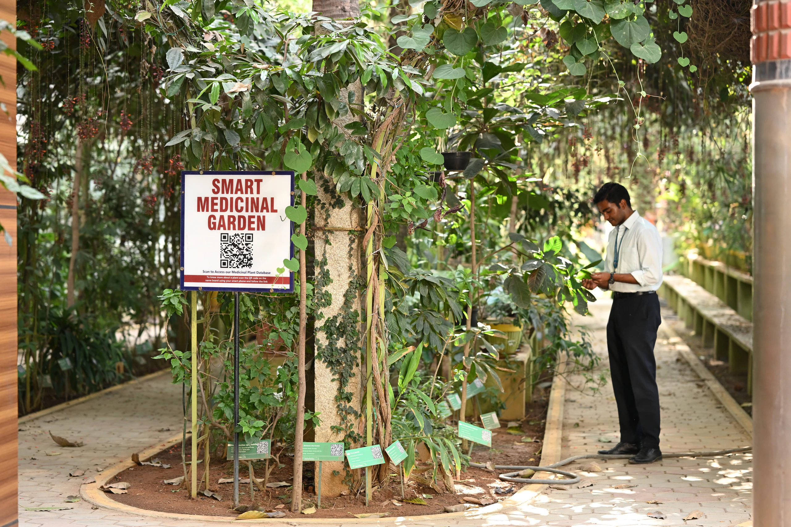 Smart Medicinal Garden - Kristu Jayanti University